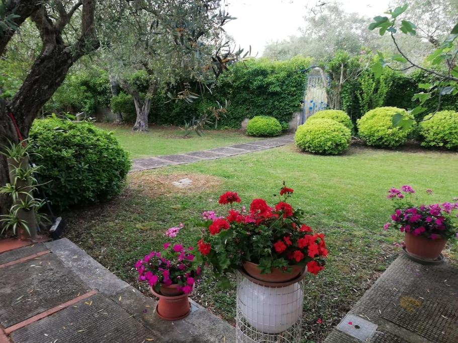 Villa Brezza Capaccio Extérieur photo